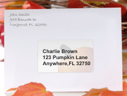 Mailing Labels - Find Printable Mailing Labels on A4 Sheets - Online Labels
