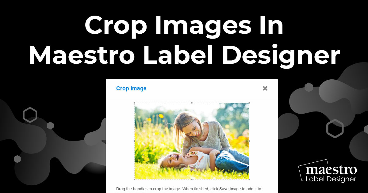 Cropping images in Maestro Label Designer