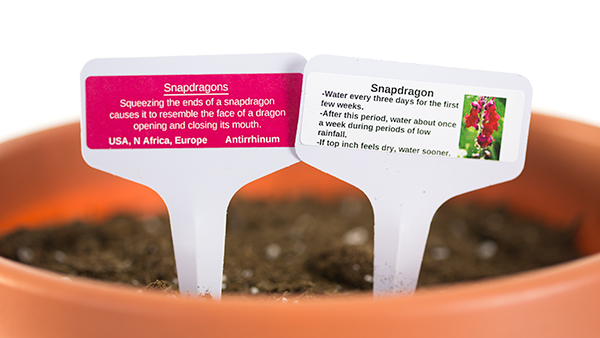 Make Your Garden Pop with Plant Marker Labels